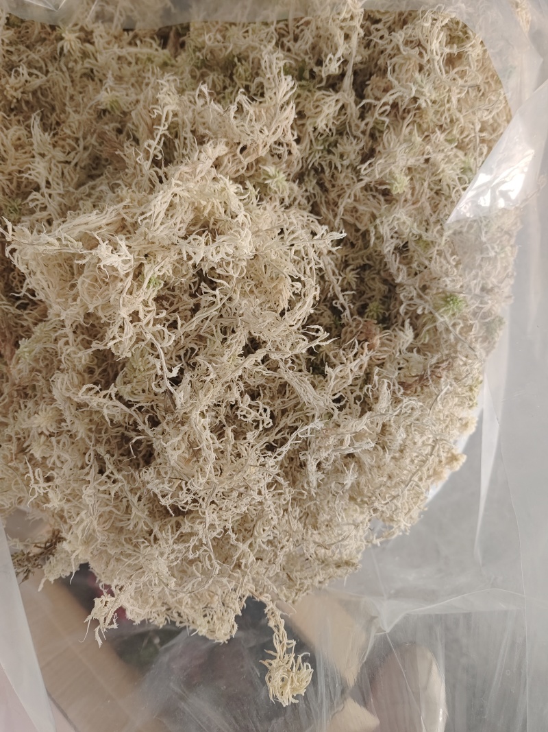 贵州优质水苔