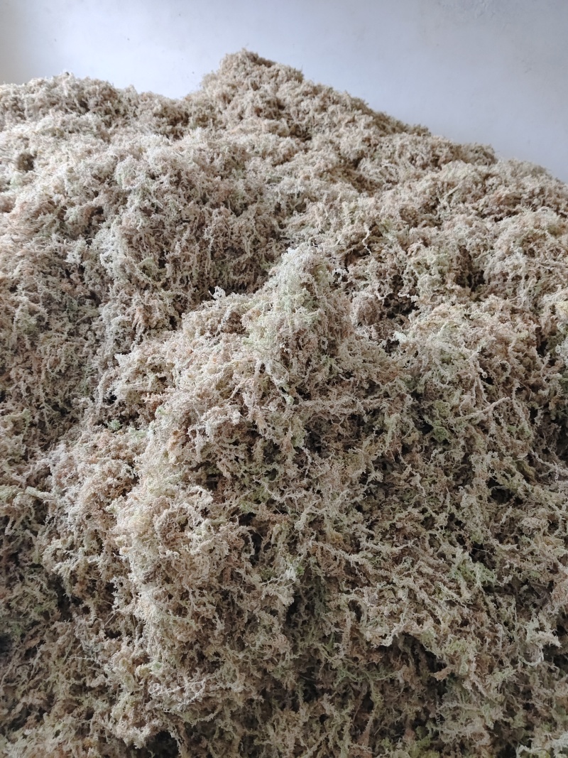 贵州优质水苔