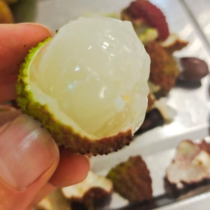 中国*晚熟桂味荔枝，保证一手货源，现采现摘保证货源充足