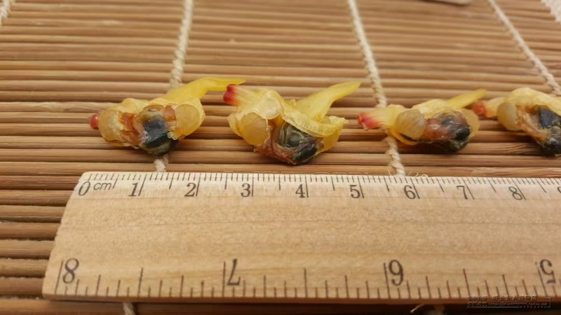 包邮【海鲜干货】蛤蜊肉干白蛤肉蛤蜊干蚬子干