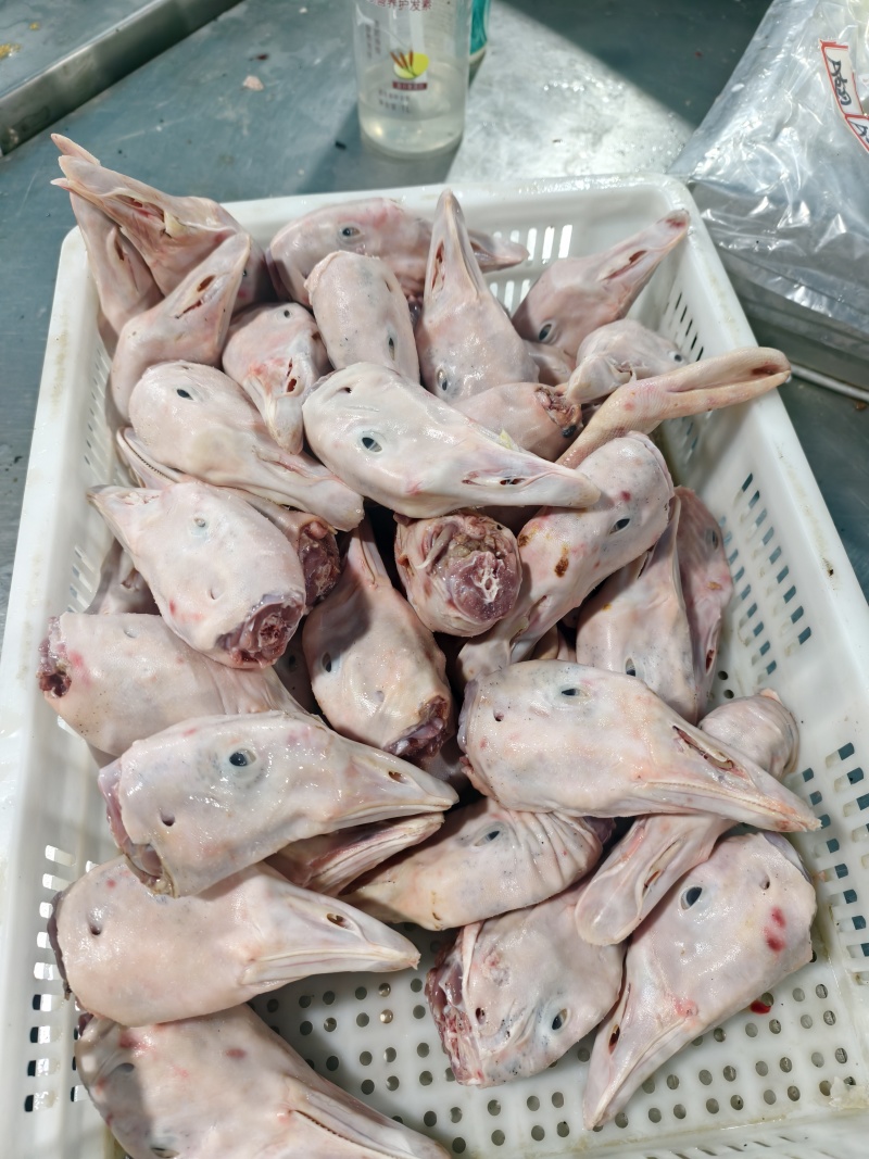 仔鹅头，厂家直发，新鲜货熟食店饭店都可以