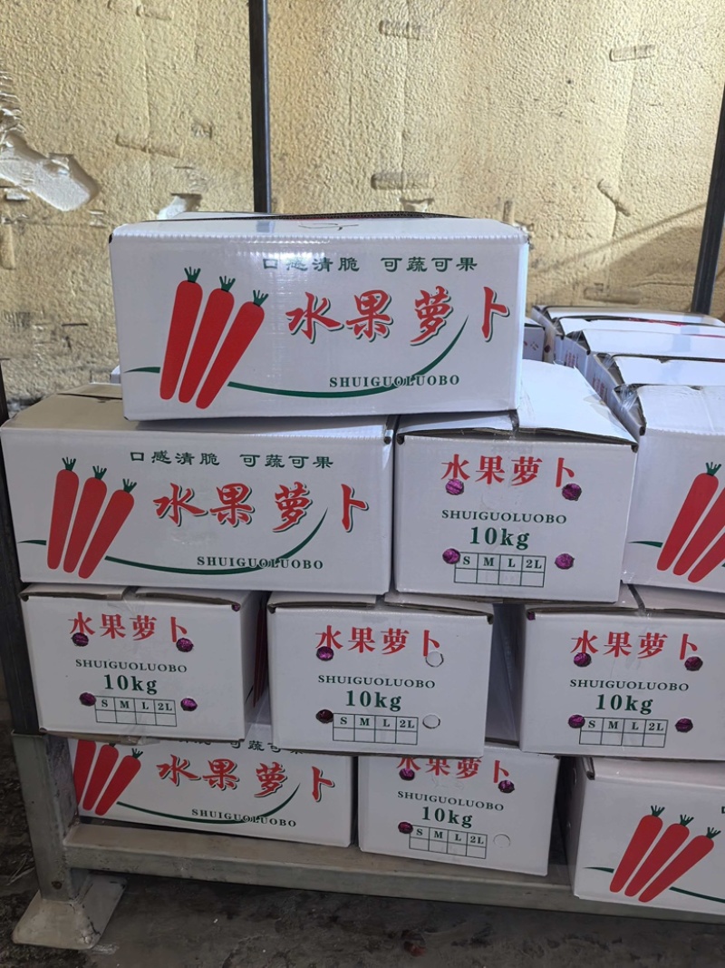 陕西渭南水果萝卜精品上市供应充足规格齐全产地直销