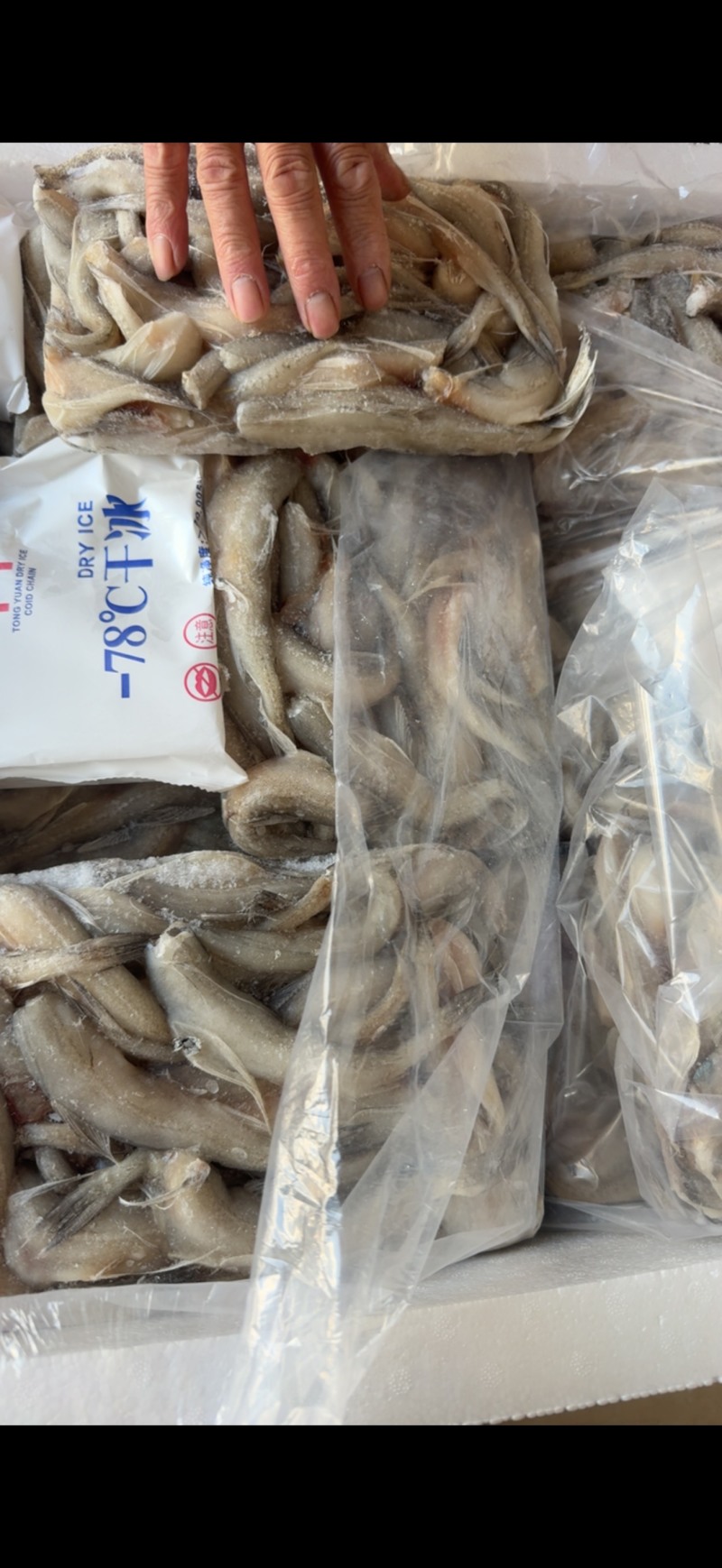 龙头鱼单冻豆腐鱼丝丁鱼九肚鱼江苏海鲜水产