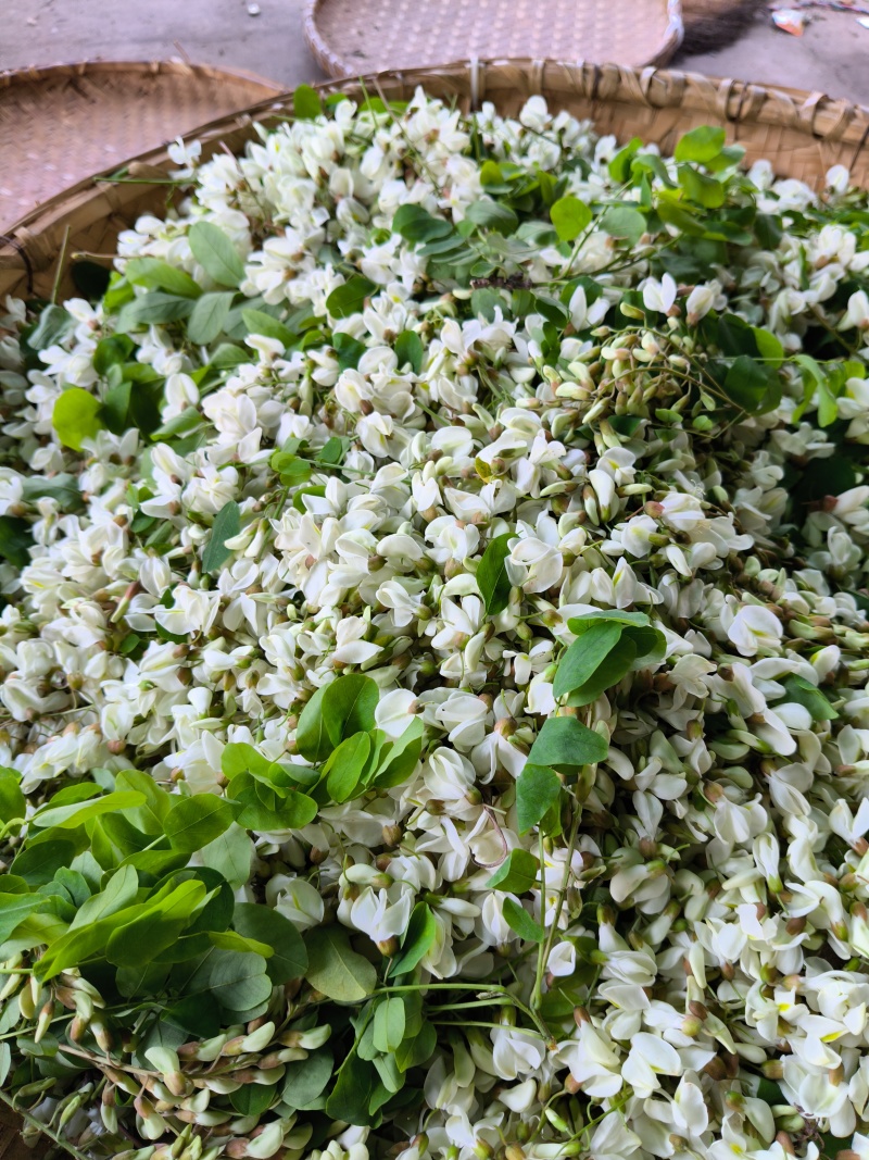 炒好的槐树花。60/斤