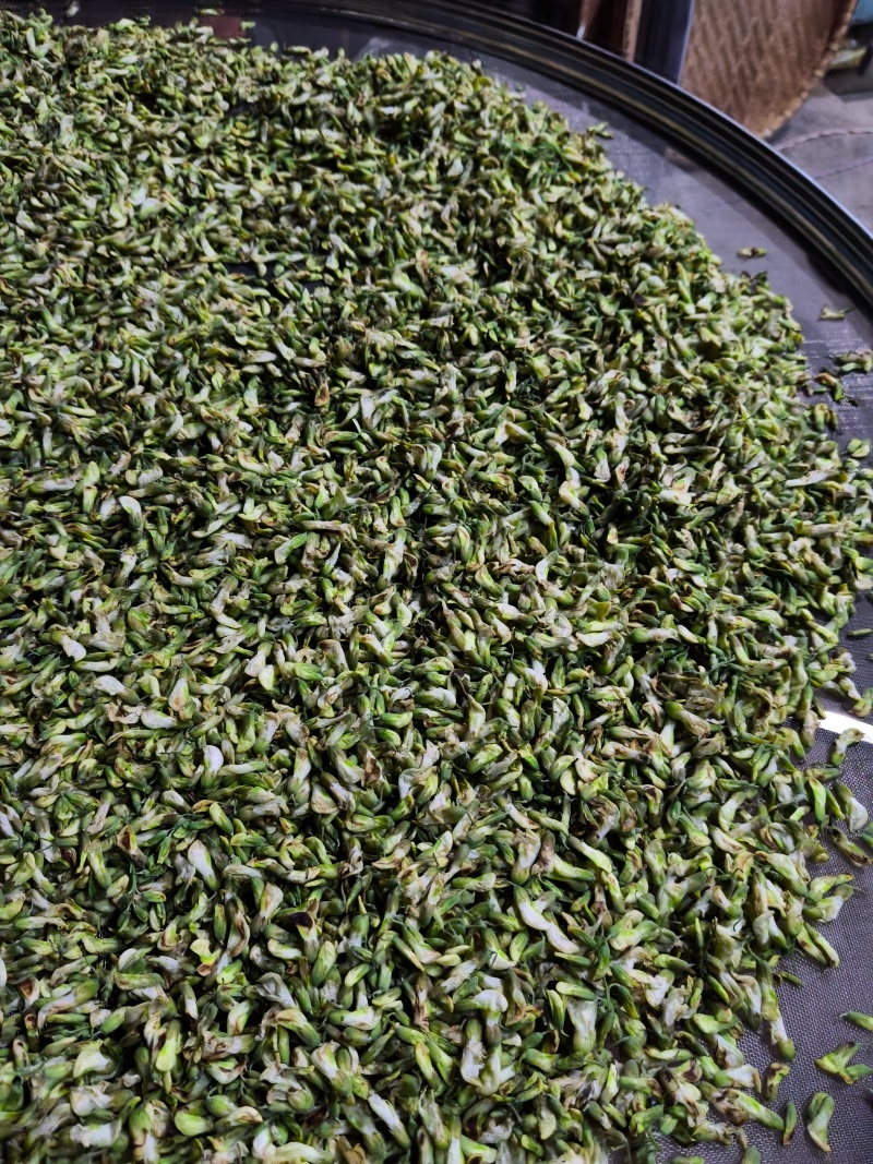 炒好的槐树花。60/斤