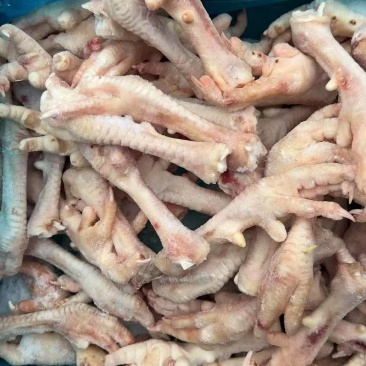 母鸡爪20吨