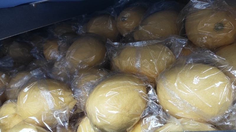 安岳柠檬