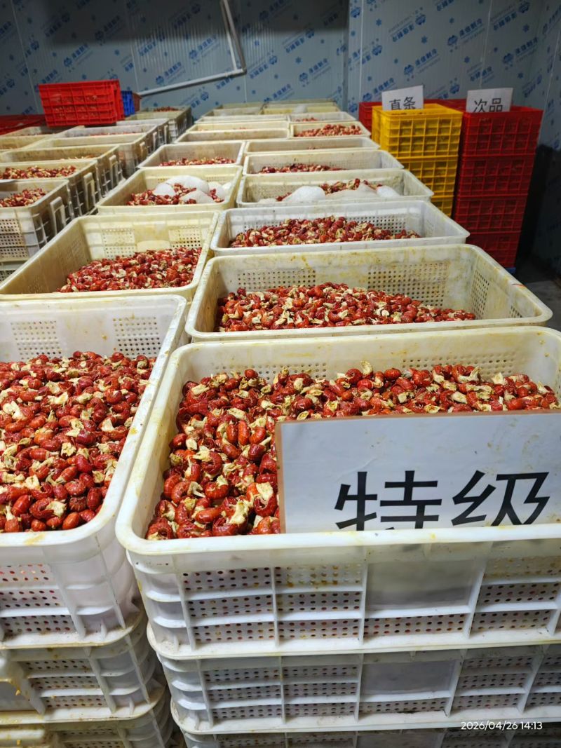 龙虾尾纯干无冰/包冰/各规格/可定制