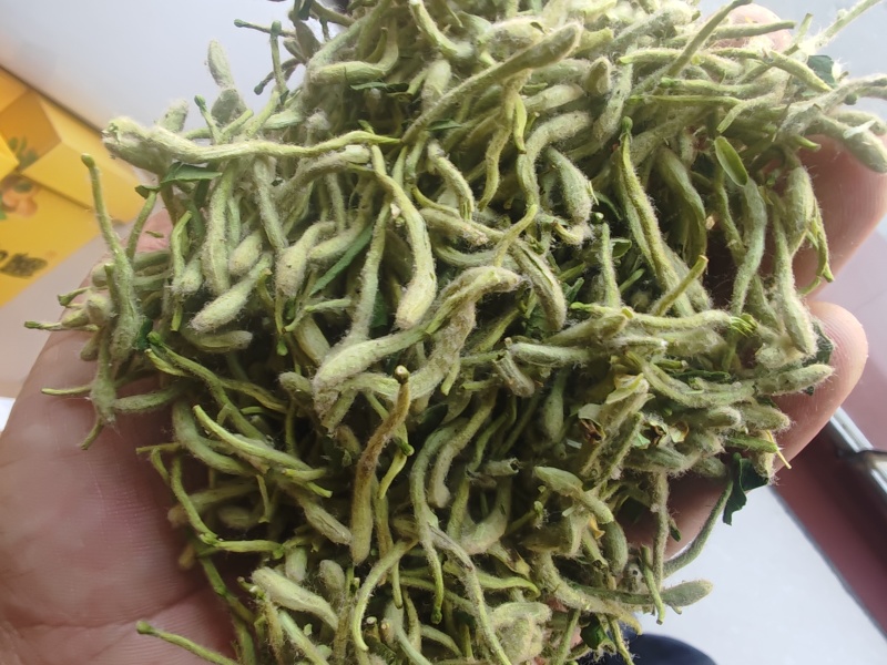 金银花
