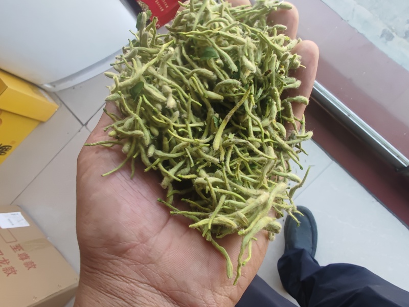 金银花