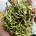 金银花