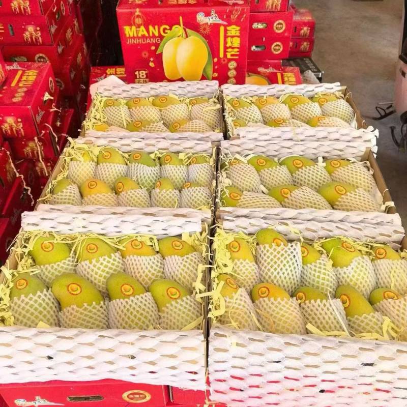 海南芒果/金煌芒/礼盒包装/全国代发/货源充足/保质保量