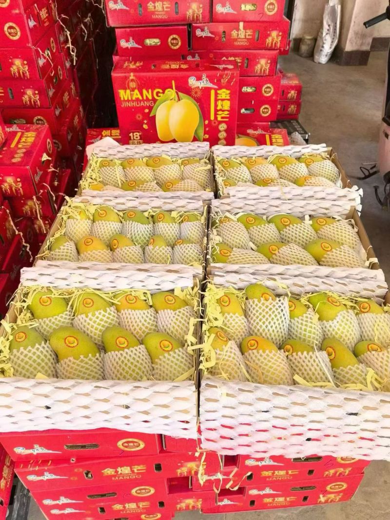 海南芒果/金煌芒/礼盒包装/全国代发/货源充足/保质保量