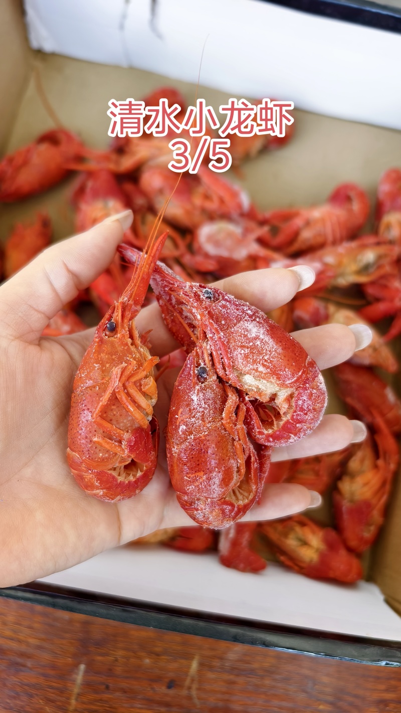 液氮速冻小龙虾/345/456/今年新货/新日期