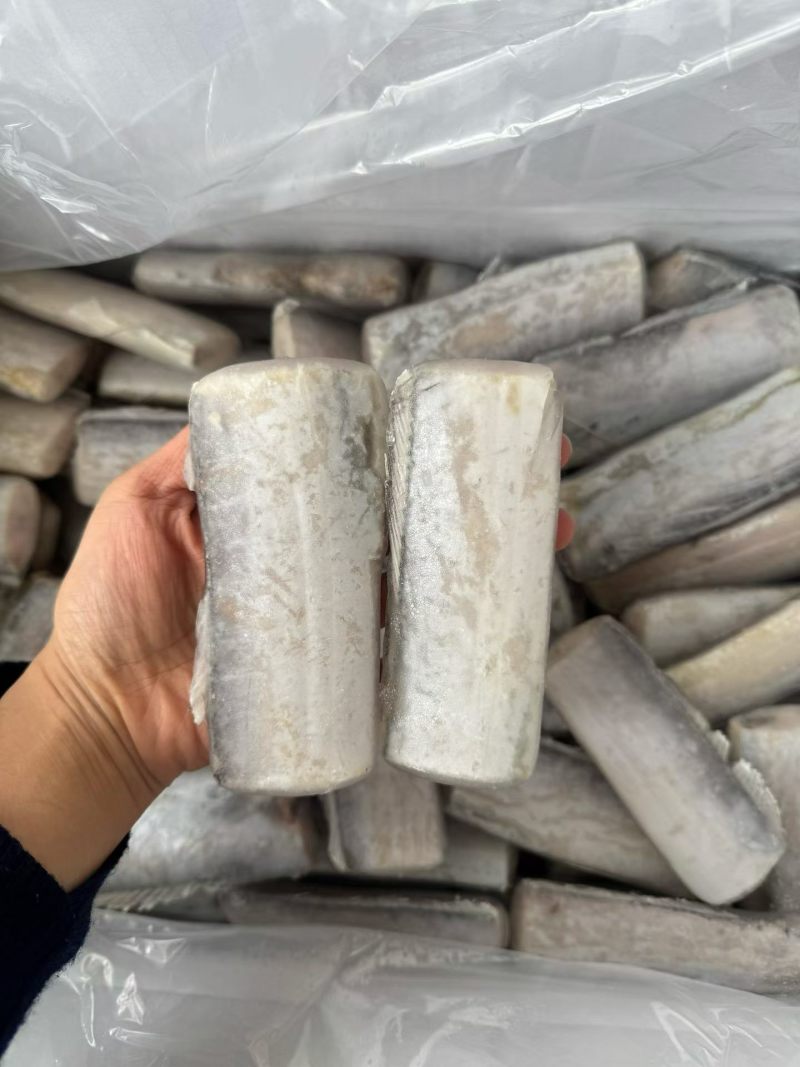 带鱼段/刀鱼段2-4/8-10/10-12