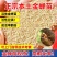 金蝉活苗，金蝉种苗/产地直发/量大从优/成活率高