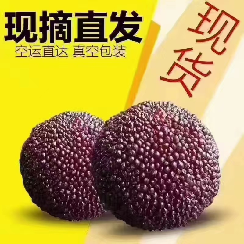 浙江杨梅仙居杨梅货源充足新鲜现摘甜美多汁一件发