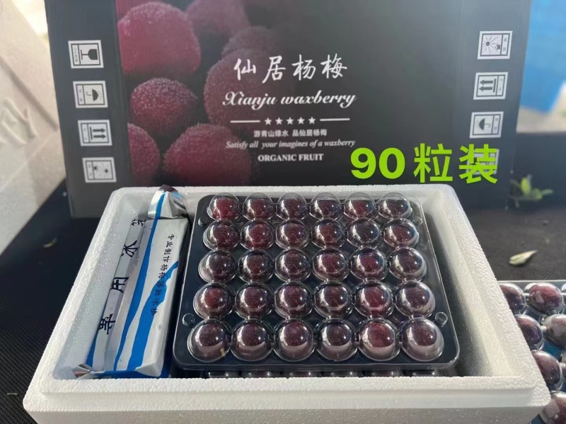 浙江杨梅仙居杨梅货源充足新鲜现摘甜美多汁一件发