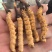 正宗冬虫夏草，新鲜野生虫草，产地直发，品质有保障