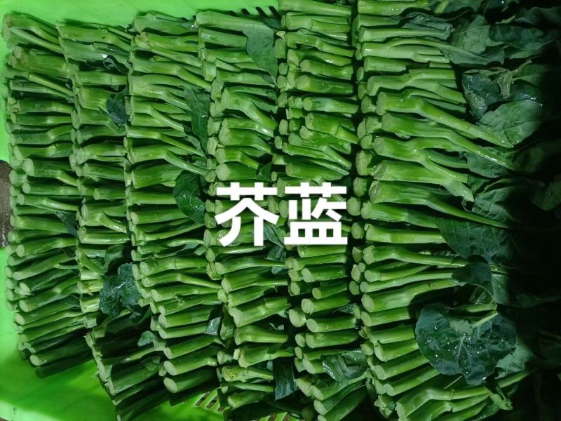 芥兰，鸡腿芥兰，常年有货
