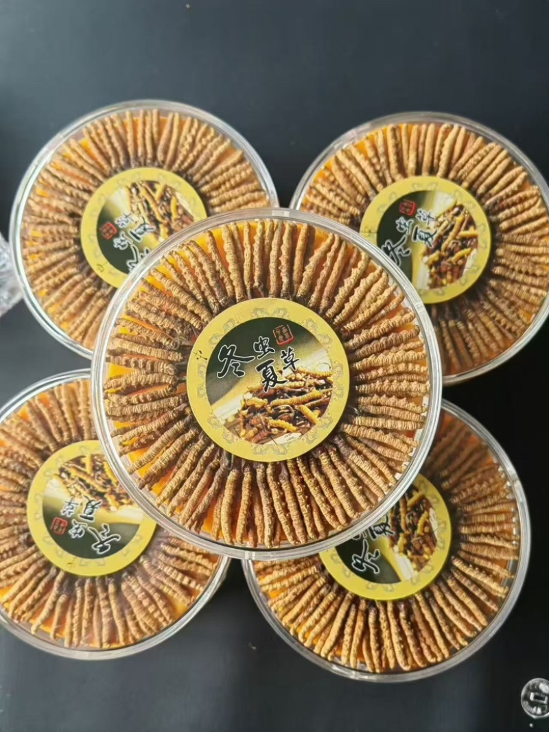 正宗冬虫夏草，品质有保障，产地直发，性价比高
