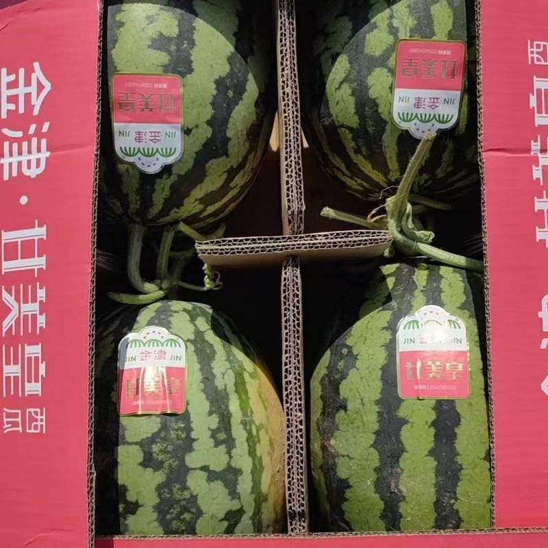小糖丸西瓜产地直发欢迎全国各地老板合作终身朋友价格优惠