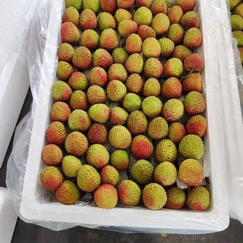 精品妃子笑大量供货