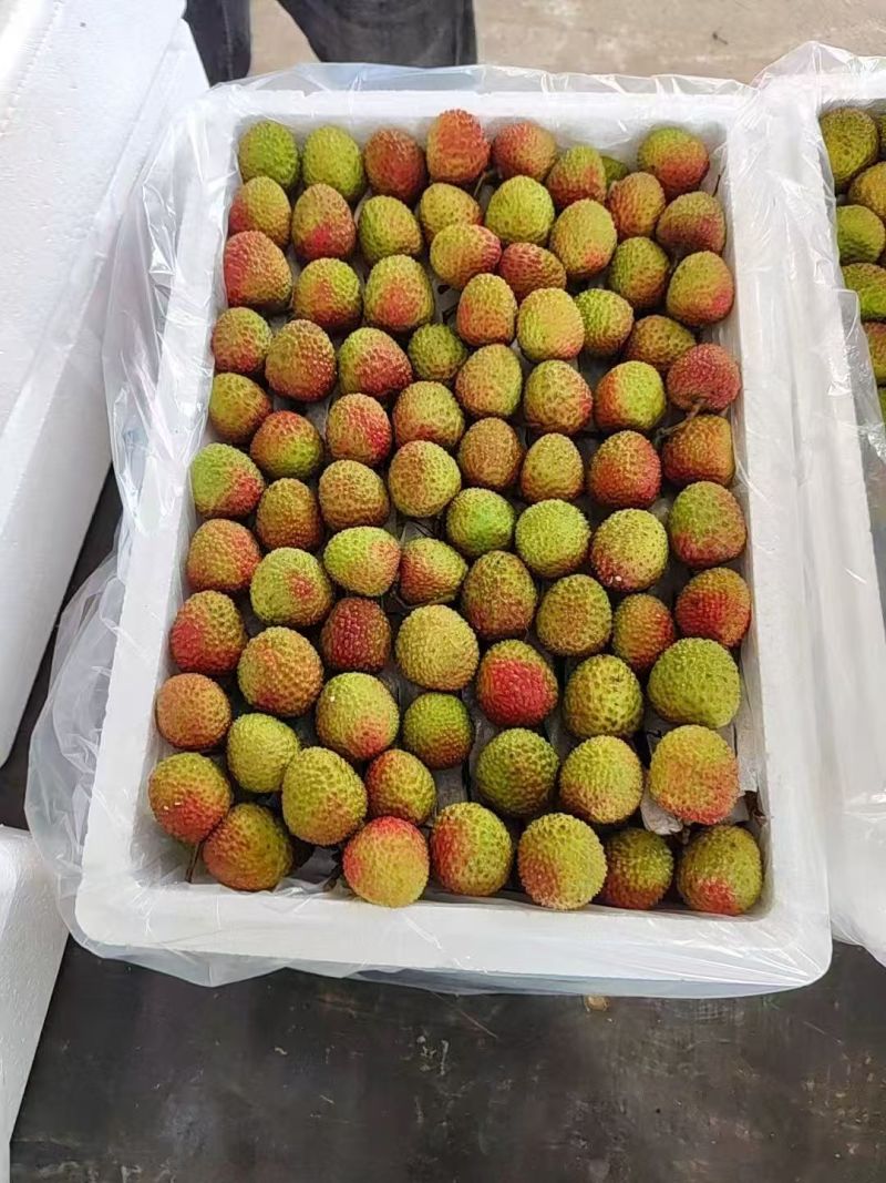 精品妃子笑大量供货