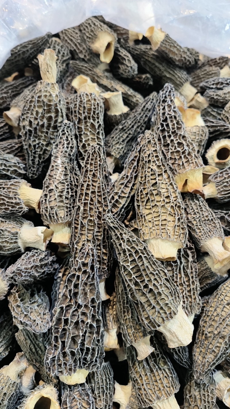 高品质羊肚菌干货肉质肥厚货足