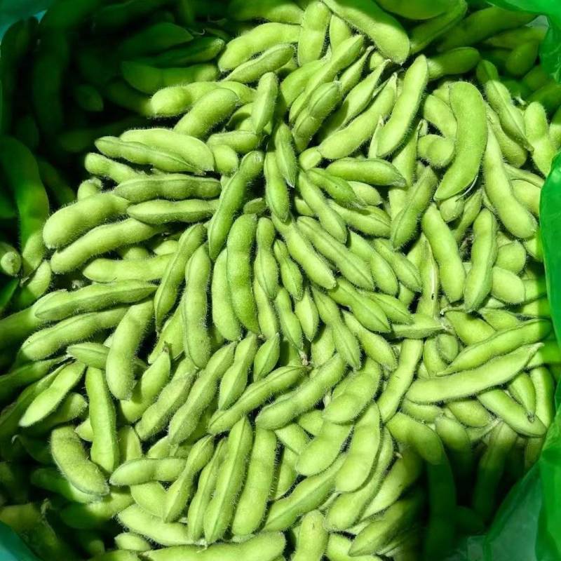 临沂毛豆精挑细选颗粒饱满网兜袋子按需分拣打包全国接单
