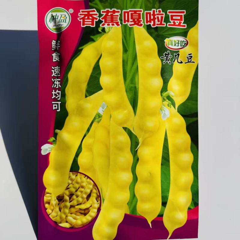 东北大几豆种子早熟黄香蕉油豆角种籽无柴嘎嘎面乎嘎啦豆种子