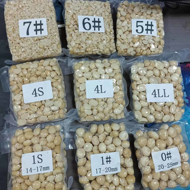 夏威夷果仁各种规格工厂现货供应