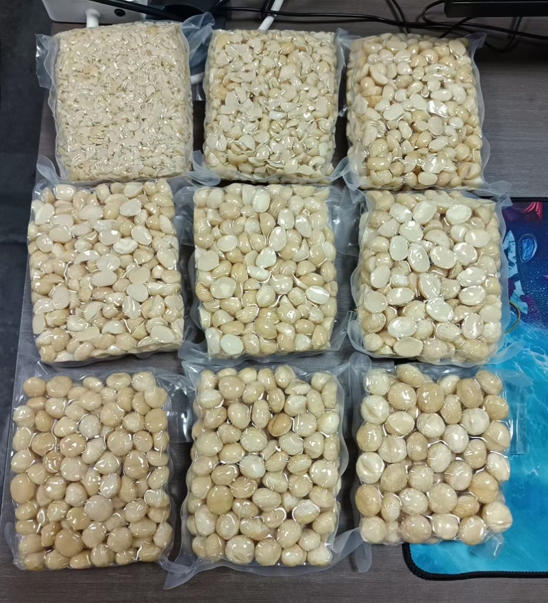 夏威夷果仁各种规格工厂现货供应