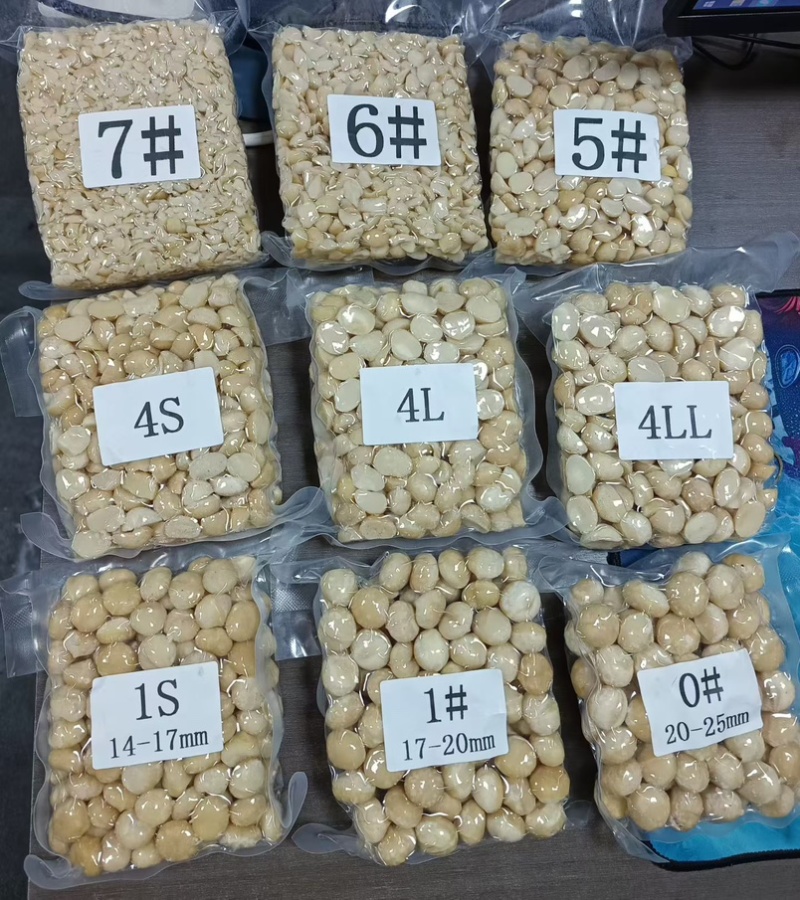 夏威夷果仁各种规格工厂现货供应