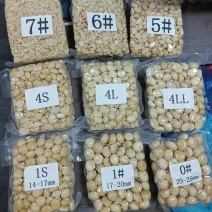 夏威夷果仁整粒半粒碎仁全规格
