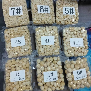 夏威夷果仁整粒半粒碎仁全规格