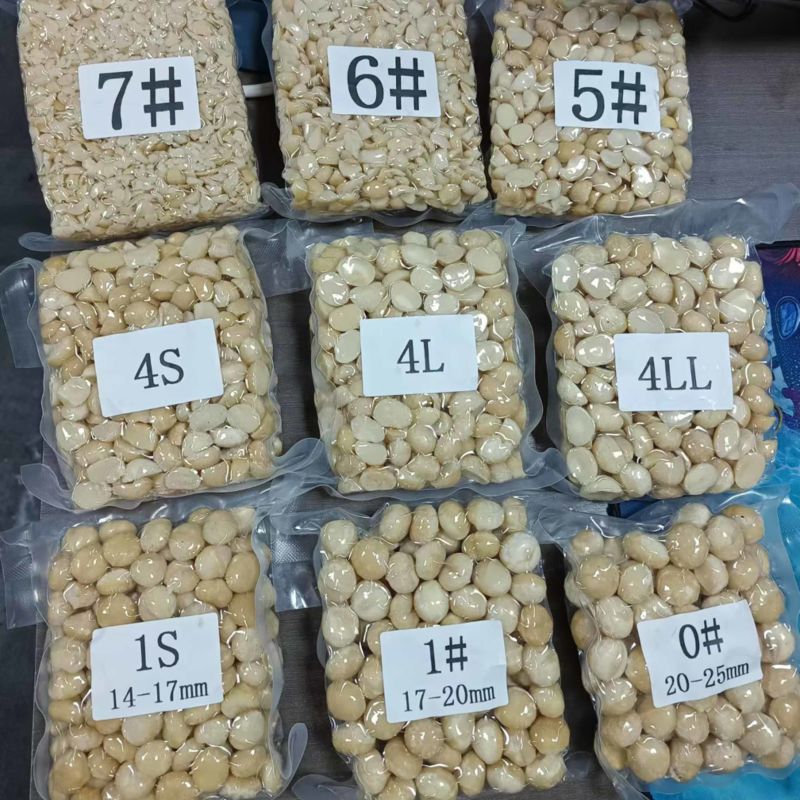 夏威夷果仁整粒半粒碎仁全规格