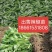 辣椒苗三樱椒干摘一次性