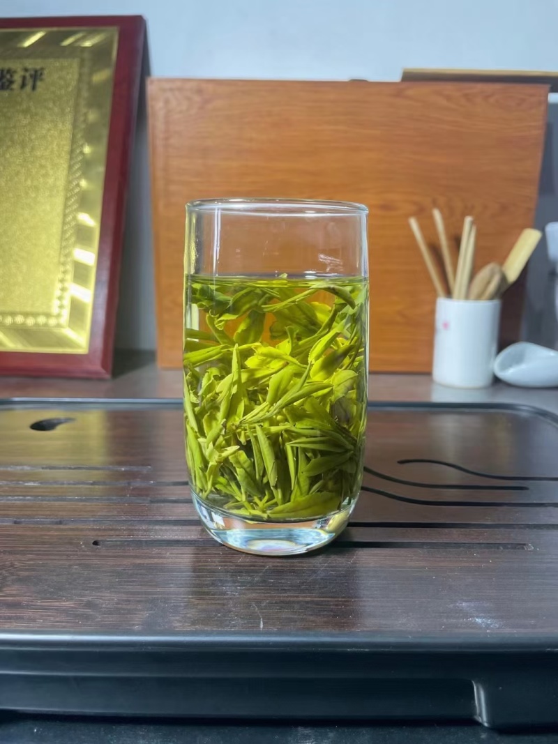 六安瓜片正在上市