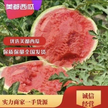 麒麟无籽美都上市大量供货诚信经营全国发货