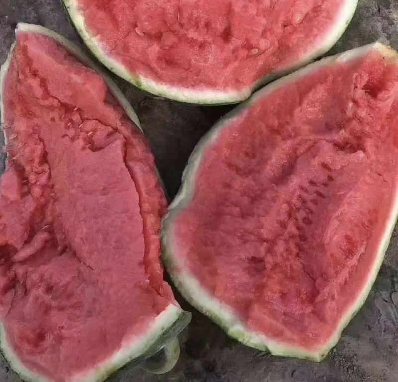 麒麟无籽美都上市大量供货诚信经营全国发货
