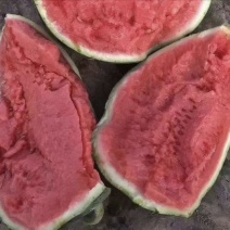 无籽头茬麒麟瓜上市基地供应诚信经营全国发货