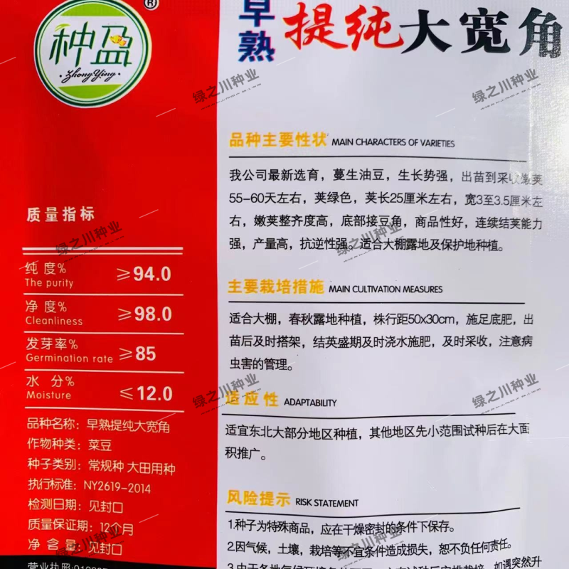 东北油豆角种子大宽角油豆种子无筋无柴架油豆种子荚宽