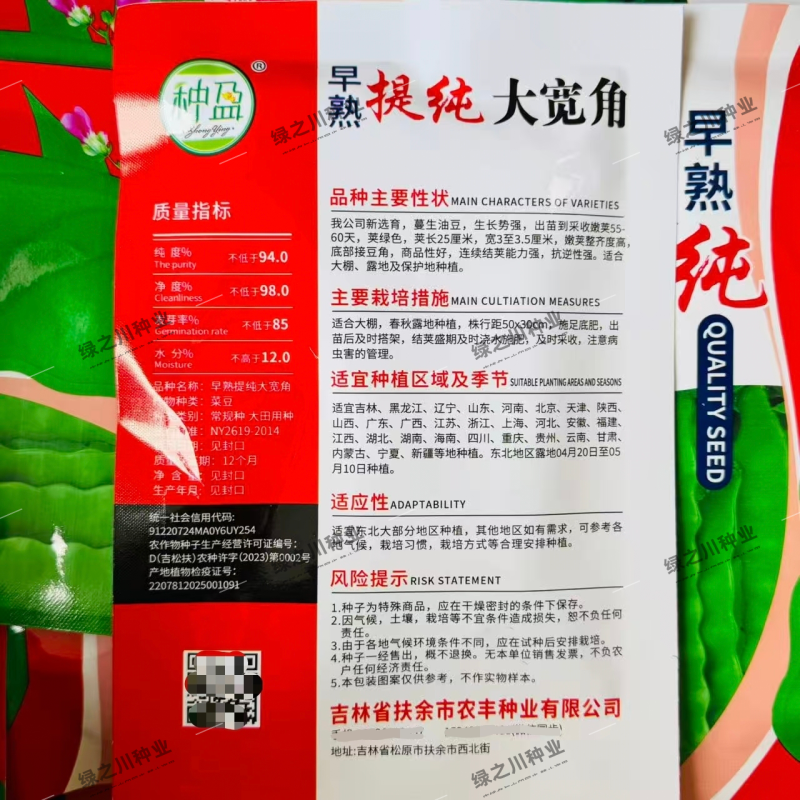 东北油豆角种子大宽角油豆种子无筋无柴架油豆种子荚宽