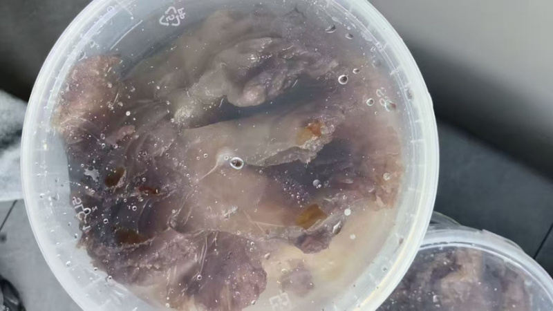 正宗舟山海哲皮三矾工艺岱西两头洞