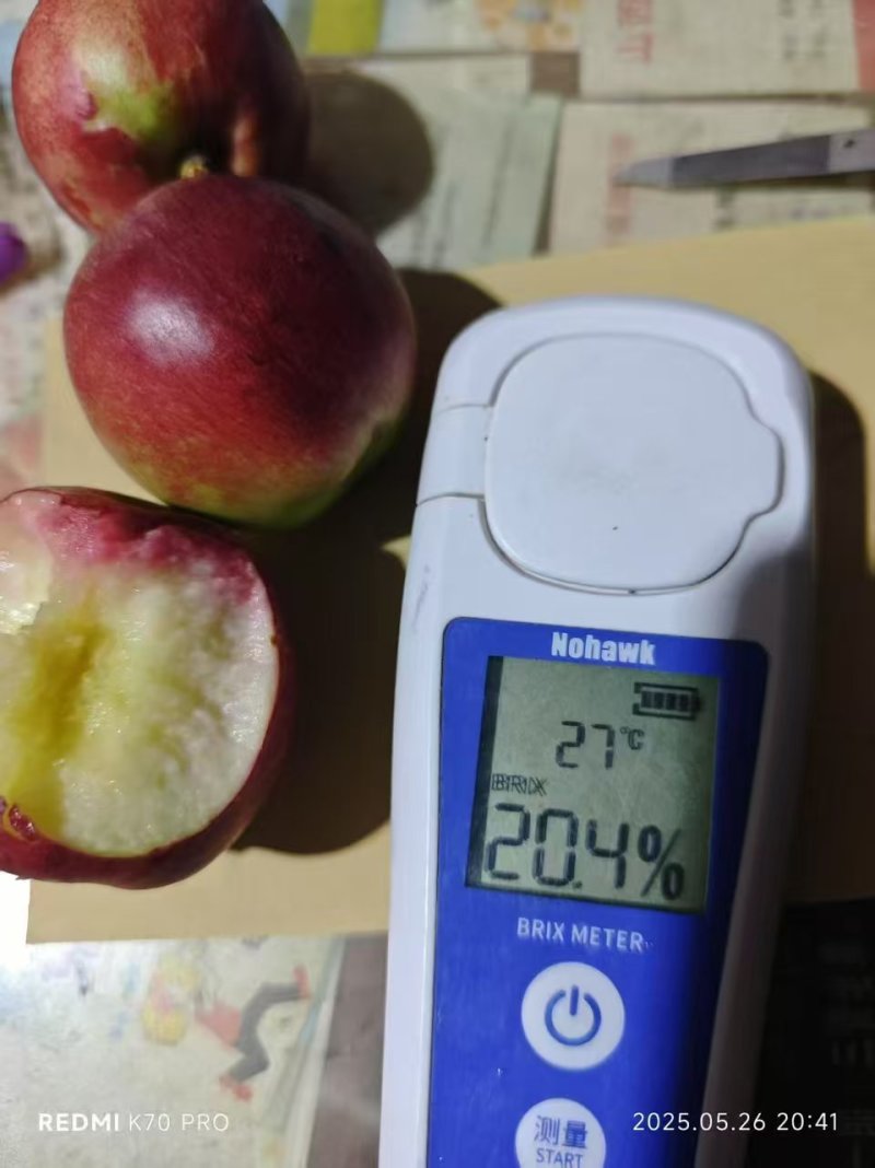 中油珠玉，高甜度油桃，五一后上市，有需要的请联系我。