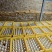 广西玉林百香果原浆自家果园加工一手货源全国接单承接加工餐饮