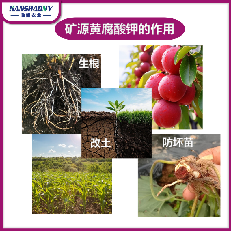 矿源黄腐酸钾腐殖酸水溶肥壮苗生根调节土壤酸碱正品蔬菜果树