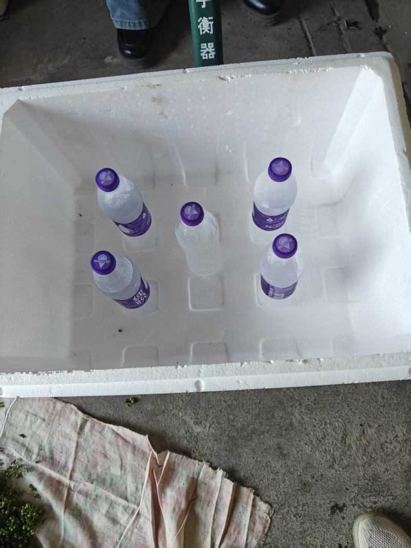 鲜花椒有机富硒鲜花椒上市了当天采摘当天发货