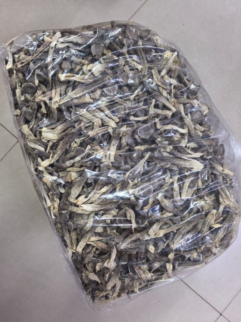 精品鹿茸菇干货批发质量好的很价格美丽量大从优大量现货